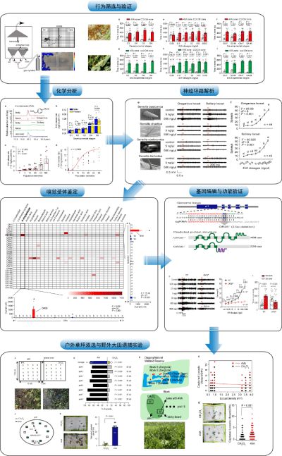 中科院2020年第3季度科技创新亮点成果发布 信息系统集成服务展现新突破